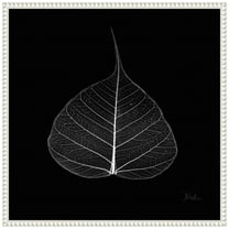 Amanti Art Minimalist Leaf on Black I Framed Canvas Wall Art Print