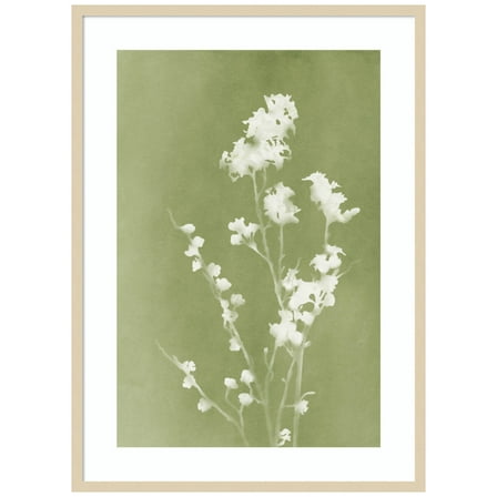 Amanti Art Monograph Green Flowers Wood Framed Wall Art Print