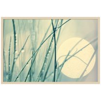 Amanti Art Morning blues Wood Framed Wall Art Print