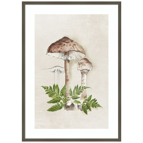 Amanti Art Mushroom Forest Sketch II Wood Framed Wall Art Print