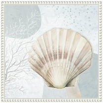 Amanti Art Ocean Oasis Bubbles Blush Scallop Framed Canvas Wall Art Print