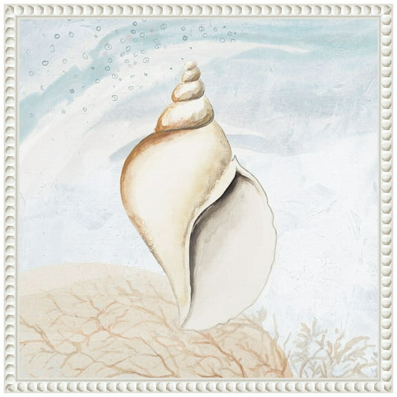 Amanti Art Ocean Oasis Tropical Seashell I Framed Canvas Wall Art Print