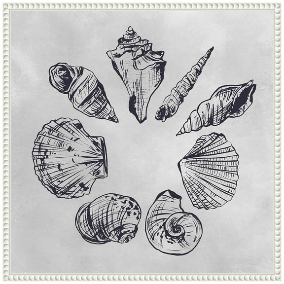 Amanti Art Ocean Seashells II Framed Canvas Wall Art Print