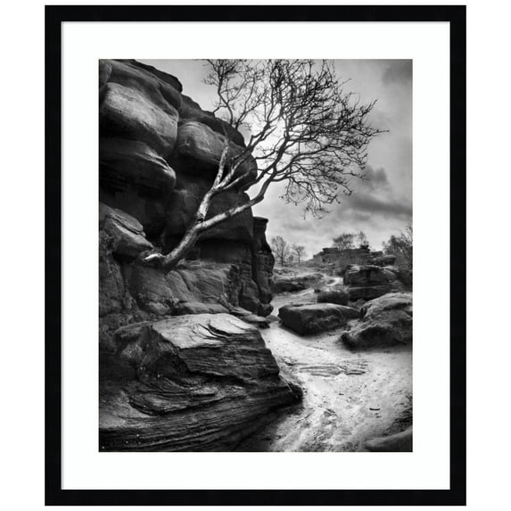Amanti Art Outcrop Wood Framed Wall Art Print
