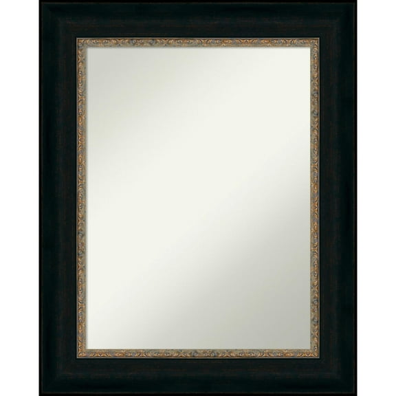 Amanti Art Paragon Bronze Framed Non-Beveled Bathroom Vanity Wall Mirror - 24.5 x 30.5 in