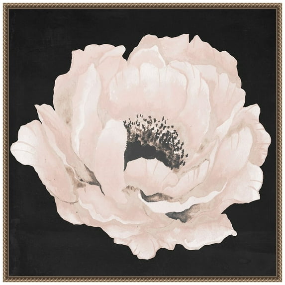 Amanti Art Pink Flower on Black II Framed Canvas Wall Art Print