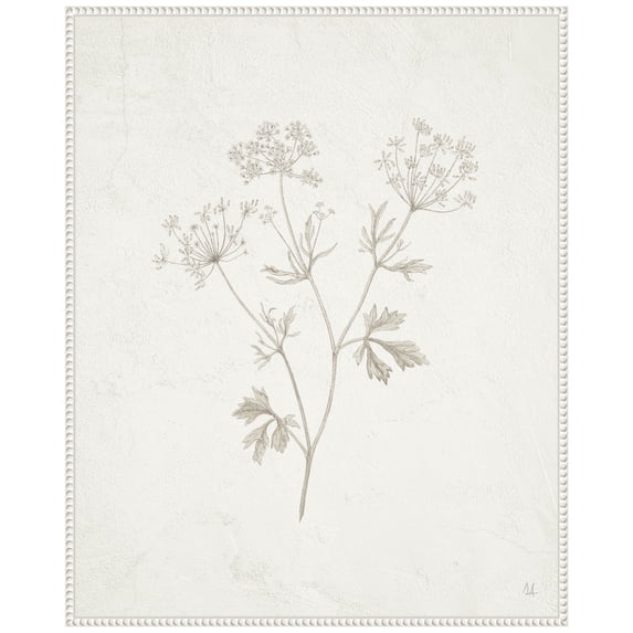 Amanti Art Plants from the Meadow IV Framed Canvas Wall Art Print