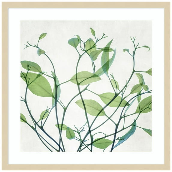 Amanti Art Rendezvous I Wood Framed Wall Art Print