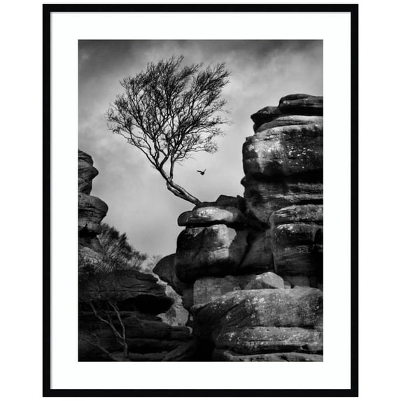 Amanti Art Rock Life Wood Framed Wall Art Print