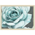thumbnail image 1 of Amanti Art Rose Bloom Wood Framed Wall Art Print, 1 of 6