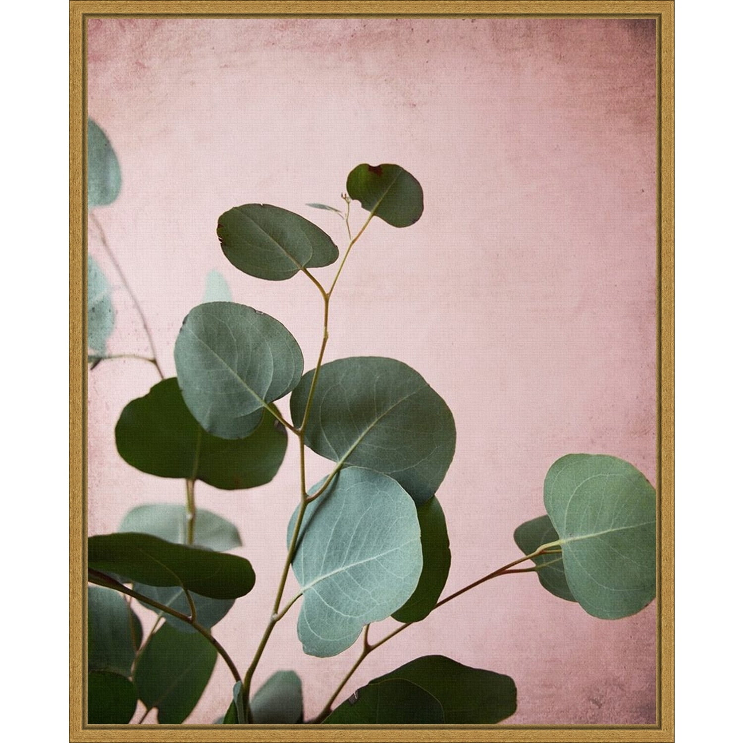 Sage Eucalyptus Framed Canvas Wall Art with Gold Frame