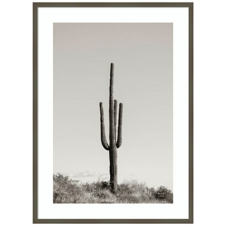 Amanti Art Saguaro Afternoon Wood Framed Wall Art Print