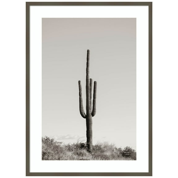 Amanti Art Saguaro Afternoon Wood Framed Wall Art Print