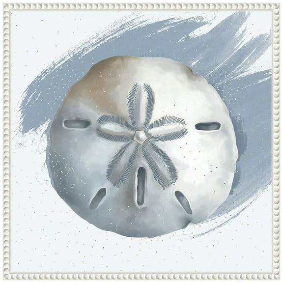 Amanti Art Sand Dollar Framed Canvas Wall Art Print