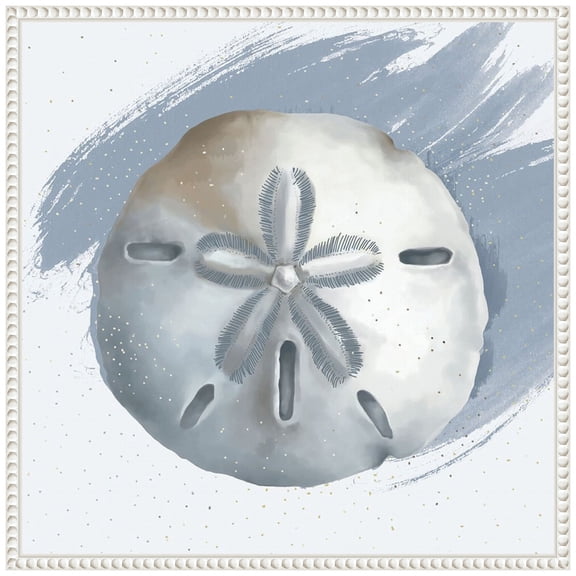 Amanti Art Sand Dollar Framed Canvas Wall Art Print