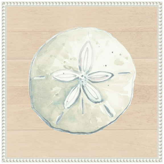 Amanti Art Sand Dollar On Wood Background Framed Canvas Wall Art Print