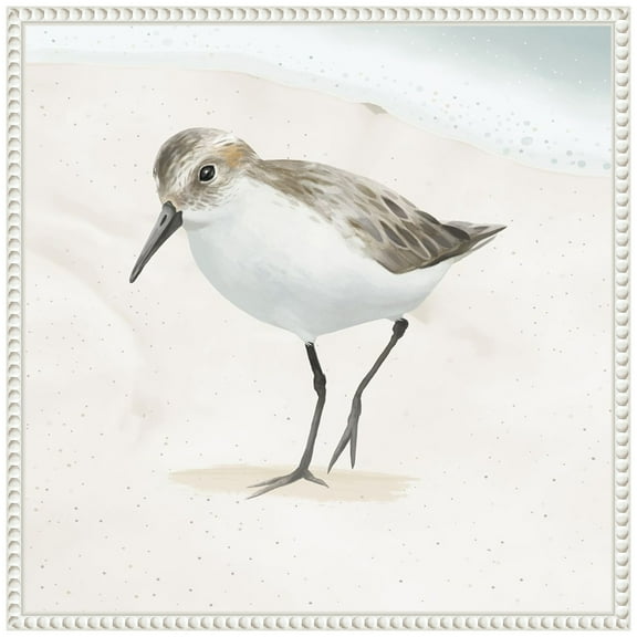 Amanti Art Sandpiper on the Beach II Framed Canvas Wall Art Print