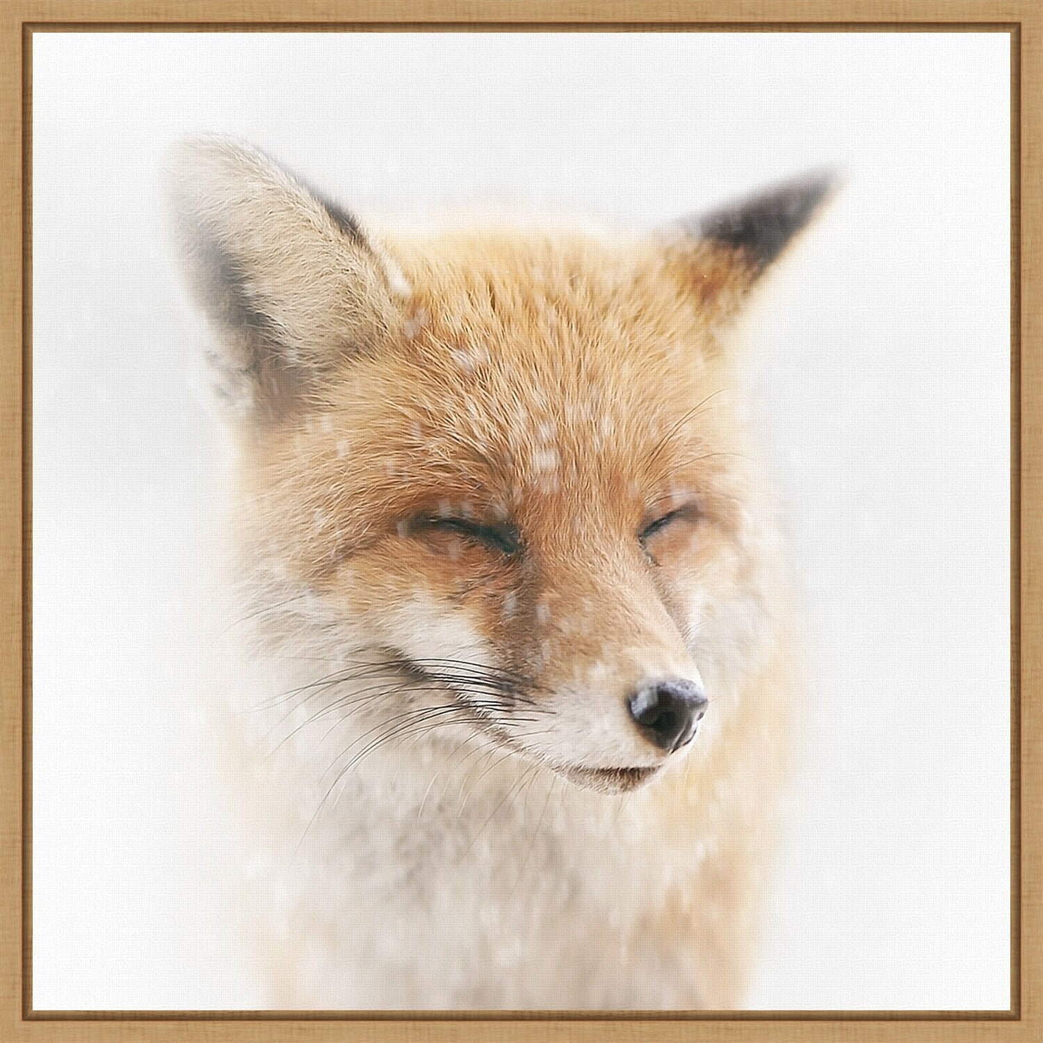 Amanti Art Satisfied Fox by Doris Reindl Canvas Wall Art Print Framed 16-in. x 16-in.