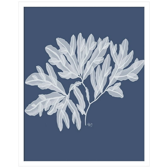 Amanti Art Seaweed 4 White on Indigo Blue Wood Framed Wall Art Print