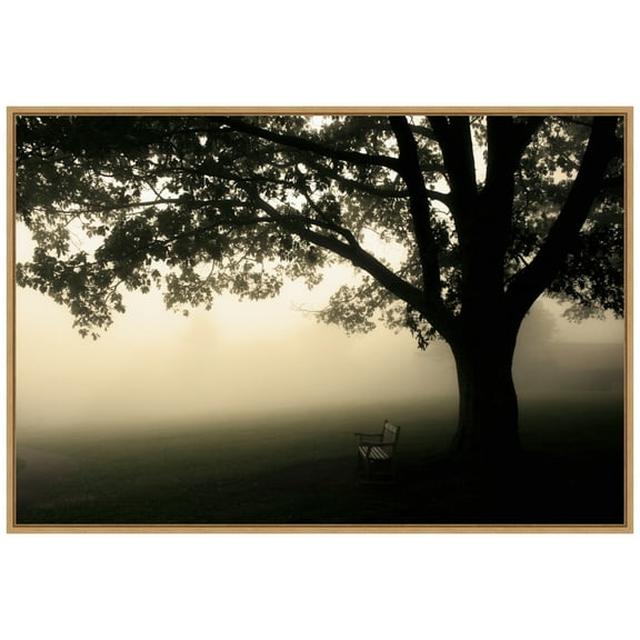 Amanti Art Shenandoah Framed Canvas Wall Art Print