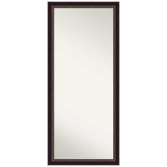 Amanti Art Signore Bronze Non-Beveled Wood Framed Floor Mirror - Full Length Mirror
