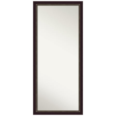 Amanti Art Signore Bronze Non-Beveled Wood Framed Floor Mirror - Full Length Mirror