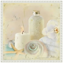 Amanti Art Silver Bath I Framed Canvas Wall Art Print