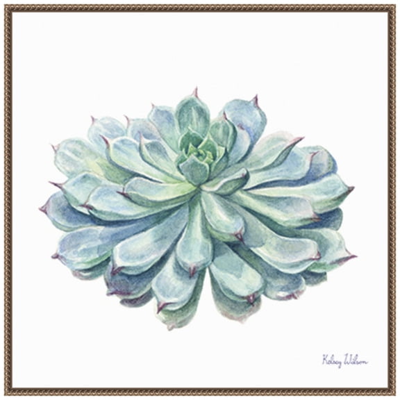 Amanti Art Single Succulents I Framed Canvas Wall Art Print