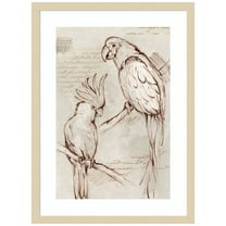 Amanti Art Sketched Birds Wood Framed Wall Art Print