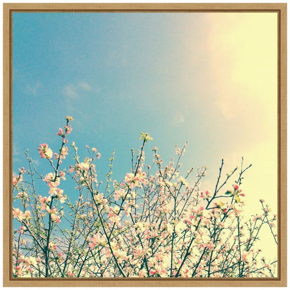 Amanti Art Springing Pink I Framed Canvas Wall Art Print