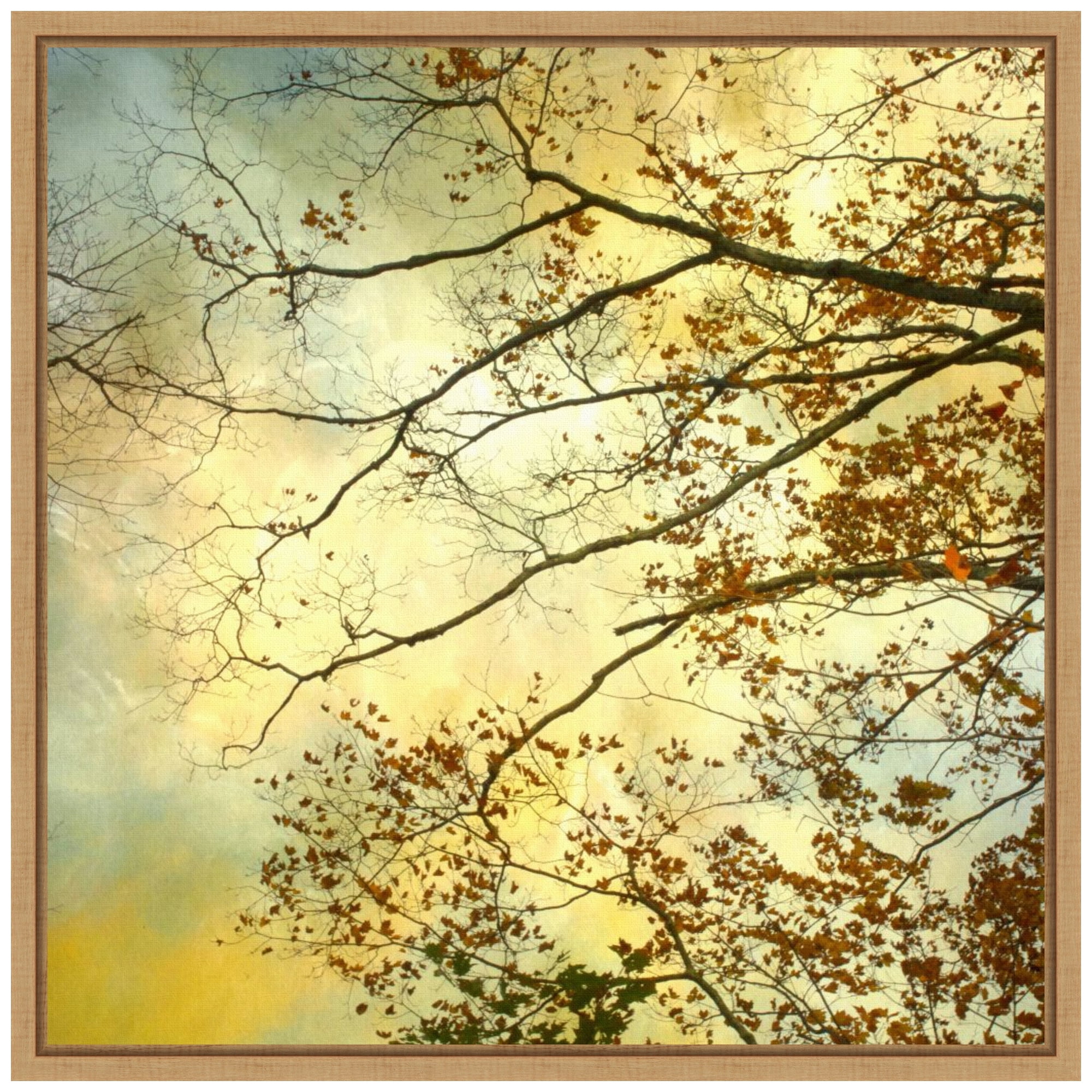 Storm Clouds II 22"x22" Maple Framed Canvas Wall Art
