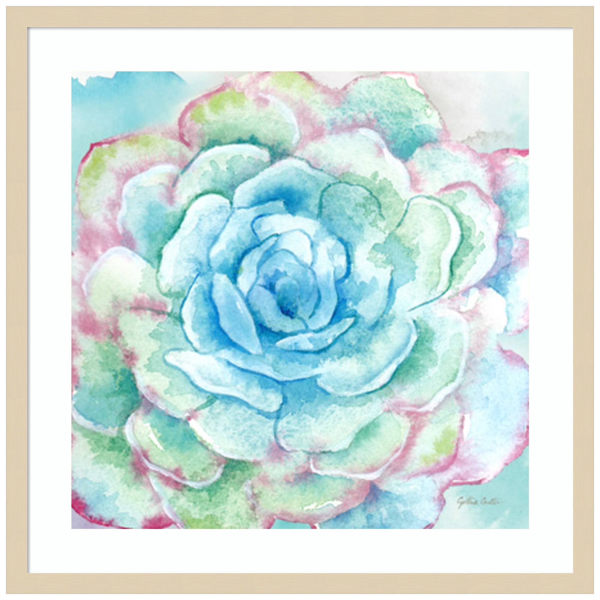 Sweet Succulents I Svelte Natural Framed Graphic Art Print