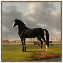 Amanti Art The Fast One, 1828 Framed Canvas Wall Art Print