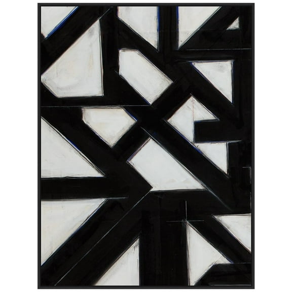 Amanti Art Topographic IV Framed Canvas Wall Art Print