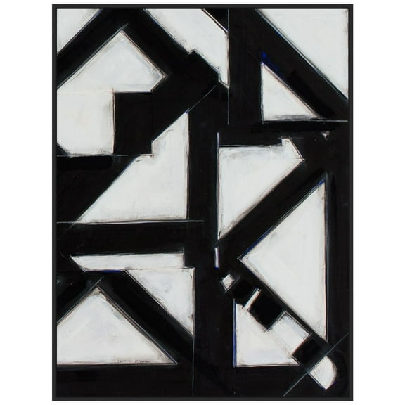 Amanti Art Topographic V Framed Canvas Wall Art Print