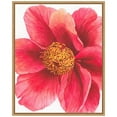 thumbnail image 1 of Amanti Art Tree Peony II Framed Canvas Wall Art Print, 1 of 6