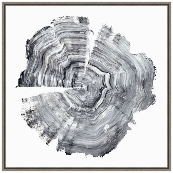 Amanti Art Tree Ring Abstract IV Framed Canvas Wall Art Print