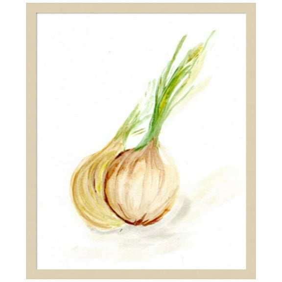 Amanti Art Veggie Sketch Onion Wood Framed Wall Art Print