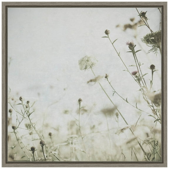 Amanti Art Wild Flowers II No Texture Framed Canvas Wall Art Print