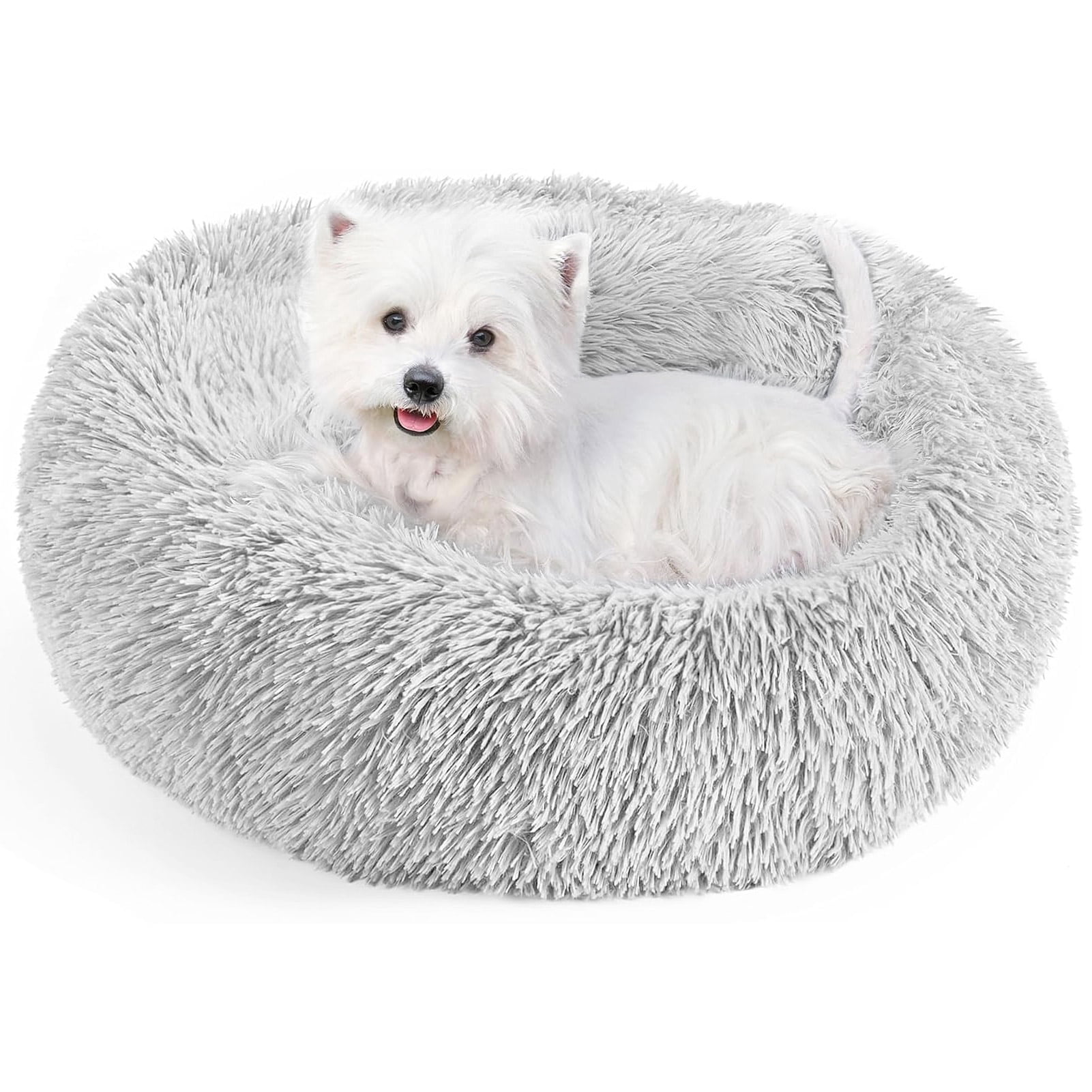 Beautiful view of Calming Cat Beds For Senior Cats