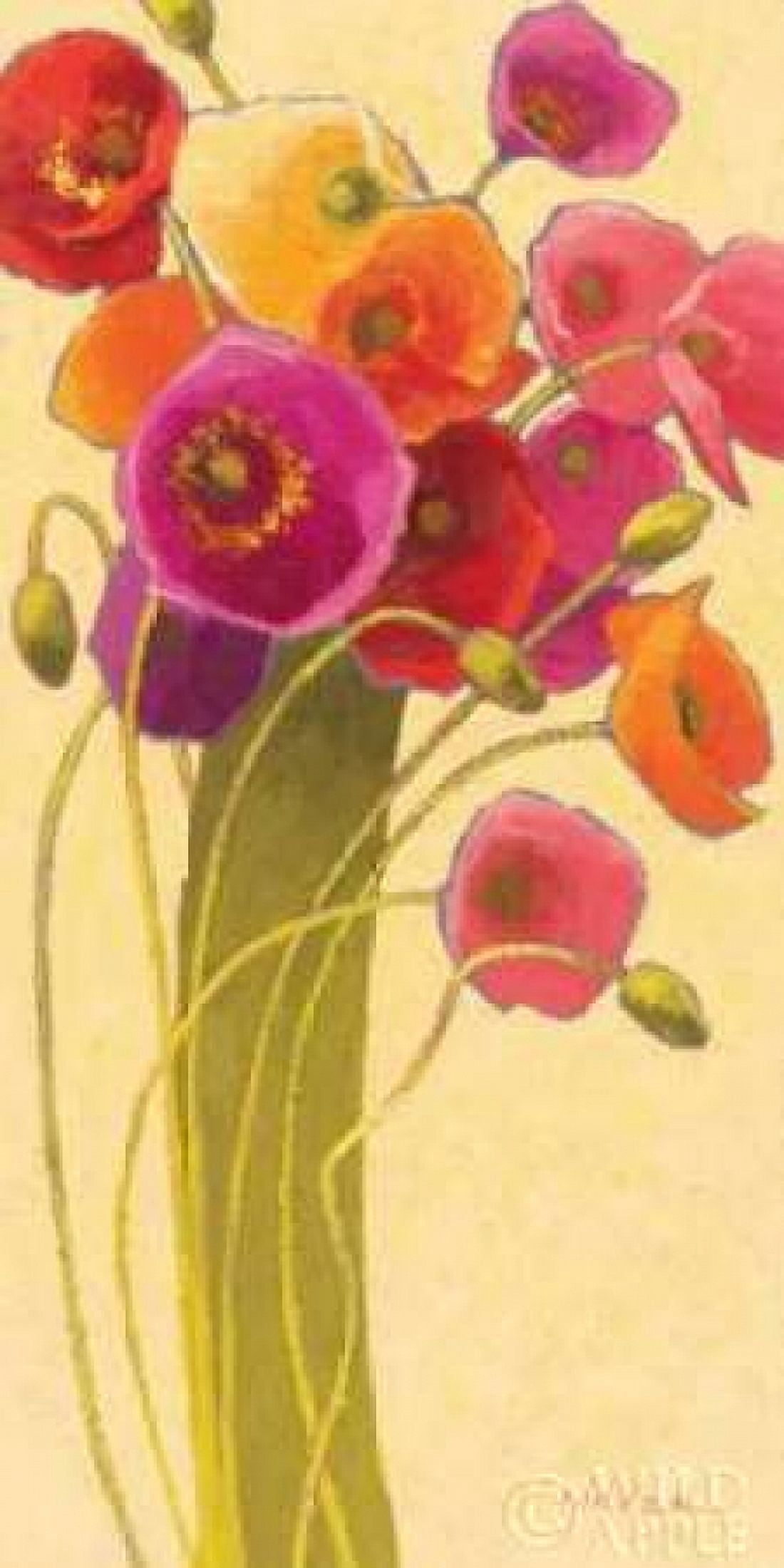 Amapola Barcelona II WAG Canvas Art - Shirley Novak (24 x 48)