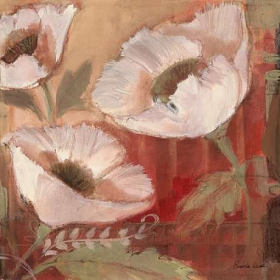 Amapola Blanc II Canvas Art - Pam Luer (24 x 24)