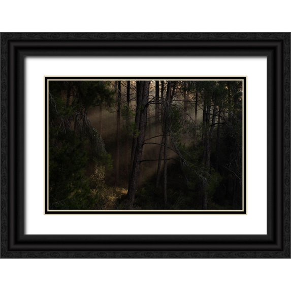 Amar, Dov 18x13 Black Ornate Wood Framed with Double Matting Museum Art Print Titled - The Magic wood