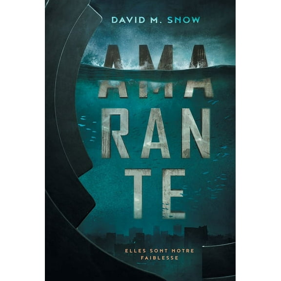 Amarante Amarante, Book 1, (Hardcover)