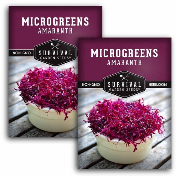 Amaranth Microgreens Sprouting Seeds - Partial Sun Vegetable - 2 Packs