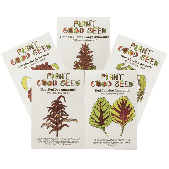 Plant Good Seed Amaranth Seed Collection - 5 Packets/600 seeds, Full Sun Annual, Grow Grain, Flowers