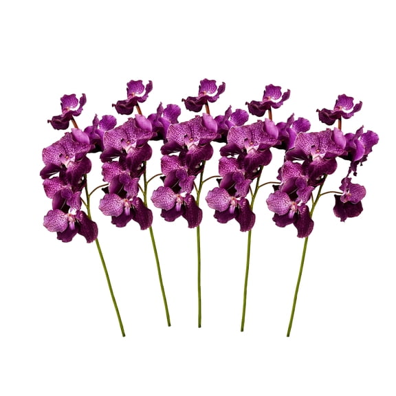Amaranton 24" Real Touch Vanda Orchid - Reddish Purple 5Pcs Artificial Flowers Bouquet for Gift Home Decor Indoor Outdoor Faux Vanda Orchid Flower Fake Floral Arrangements