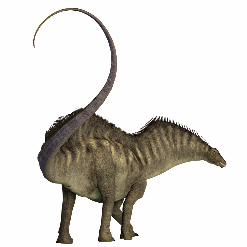 Amargasaurus dinosaur Canvas Art - Corey FordStocktrek Images (28 x 28)