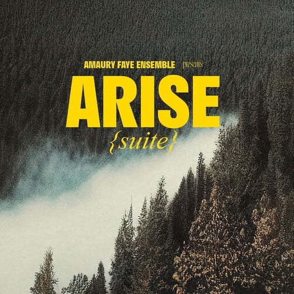 Amaury Ensemble Faye - Arise (suite) - Music & Performance - CD