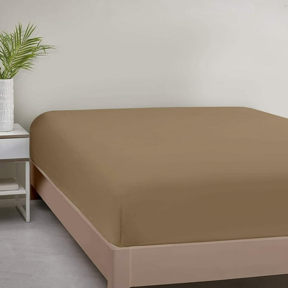 Amay 800 TC Organic Cotton Twin XL Size Fitted Sheet ( 39X80 ) Fits Mattress Upto 28-30 inches Deep Pocket, Taupe Solid
